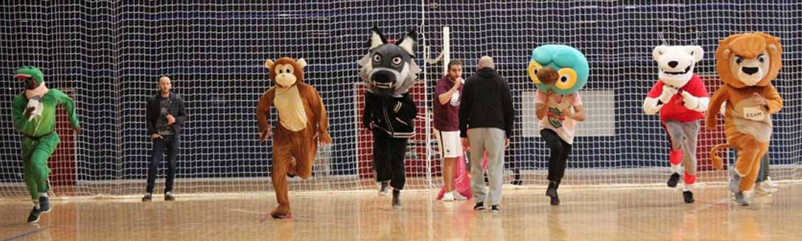 trophee-sportif-les-mascottes-du-Groupe_IGS grand trophée sportif du Groupe IGS