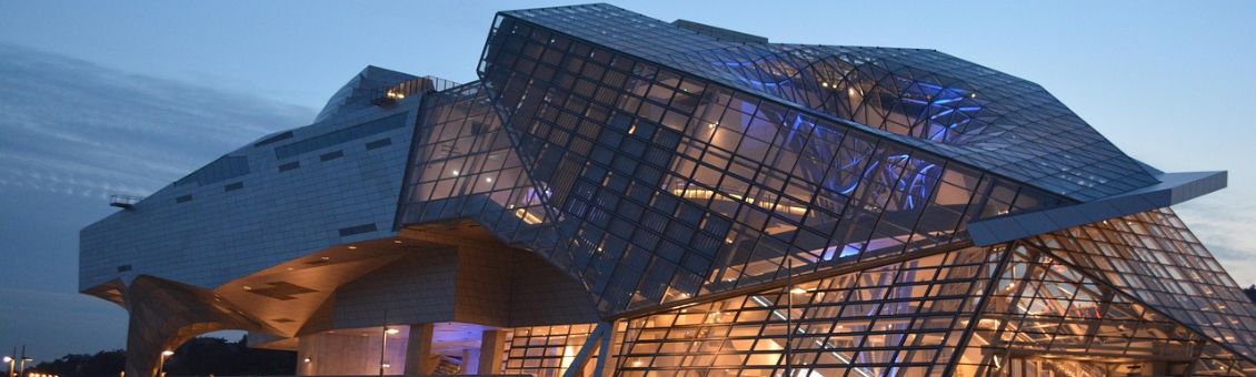 Musee_des_Confluences-image-par-Ben_Kerckx-de-Pixabay-actu.
