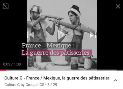Playlist YouTube - Culture G Groupe IGS
